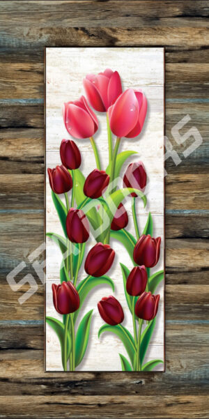 LAMINATION MULTICOLOR DOOR | C-10