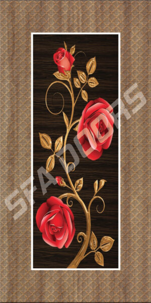 LAMINATION MULTICOLOR DOOR | C-24