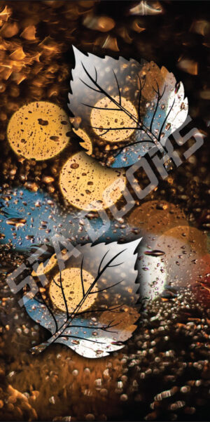 LAMINATION MULTICOLOR DOOR | C-65