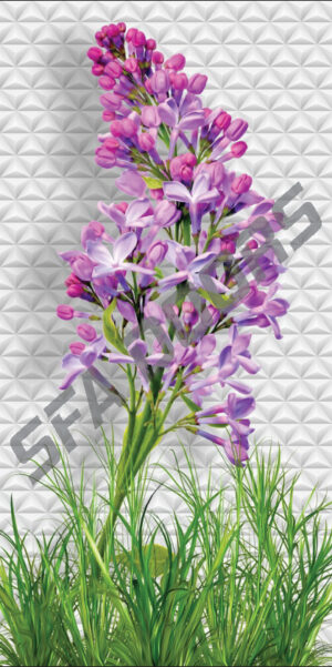 LAMINATION MULTICOLOR DOOR | C-79